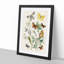 Caterpillars, Moths & Butterflies by W.F. Kirby - Picture Frame Graphic Art Print-55680799-55680797
