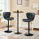 Swivel Adjustable Height Modern Bar Stools with Metal Frame 