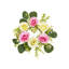 Arrangement de panier suspendu en sapin-97799850