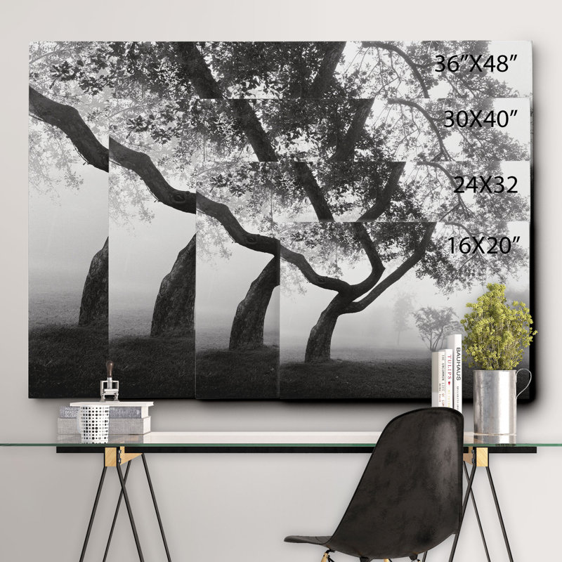 « into the brume » par monte nagler,, reproduction de photo sur toile tendue, H 16 po x l 20 po x P 1,5 po