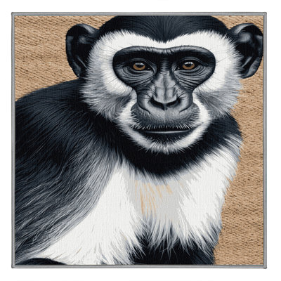  Tapis lavable noir et blanc Colobus