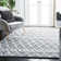 Matterson Berber Shag Performance Geometric Rug