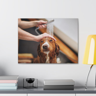 «Cute Tolling Retriever Bath», art mural