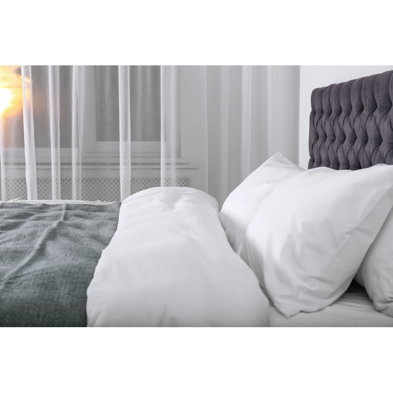 Lutterworth Down Alternative Plush Pillow, Standard