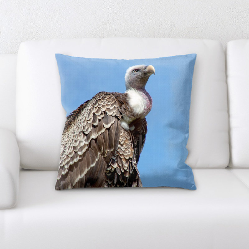 Coussin vulture