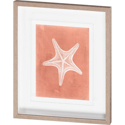 Sealife on Coral III Print by Vision Studio