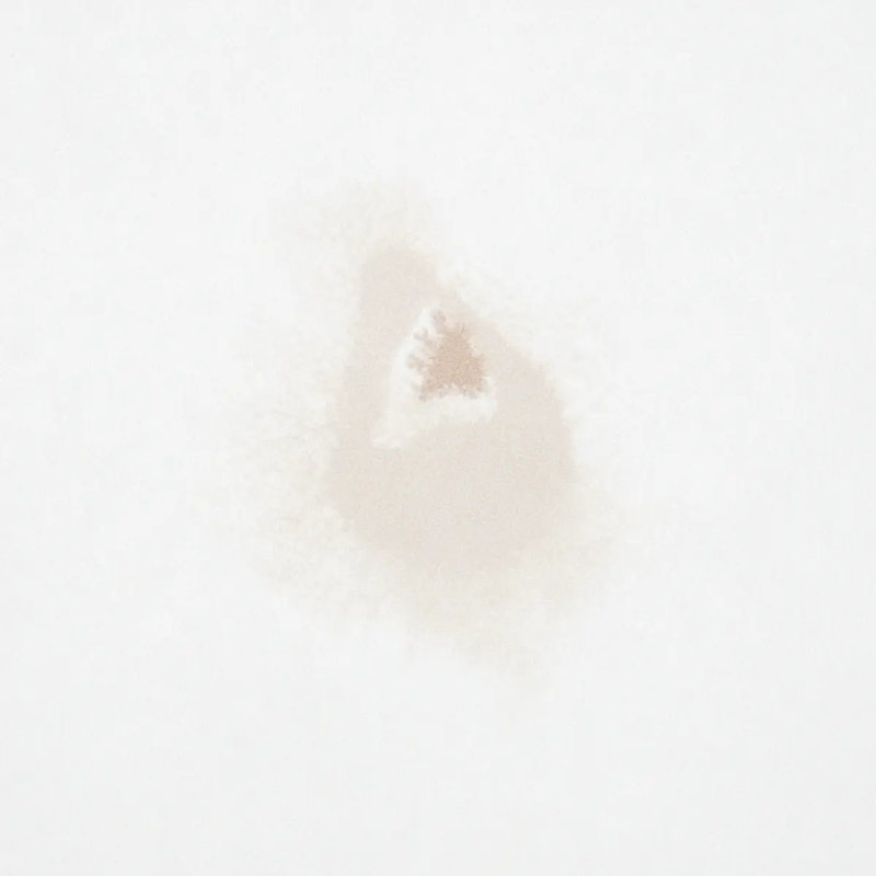 Schumacher x Porter Teleo Stellar Wallpaper, Neutral