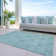 Leis Floral Indoor Rug
