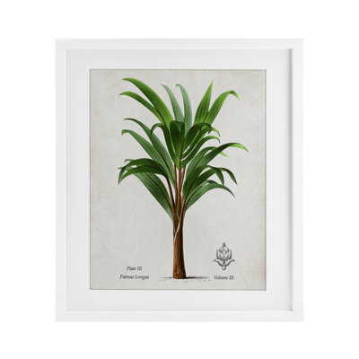 Palmier feuille de bananier rétro, impression sous verre, design par Val Rhodes