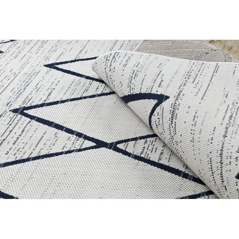 Aquirre Indoor / Outdoor Area Rug, Rectangle 80 x 150cm