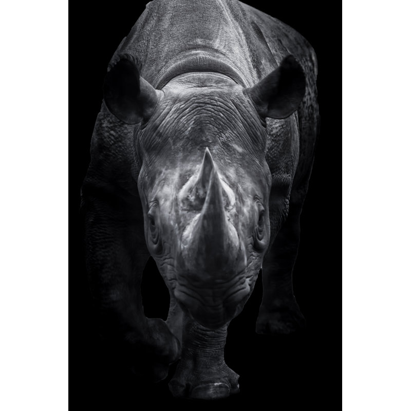Sunningdale Black Rhinoceros - Wrapped Canvas Print, 30cm H x 20cm W x 3.8cm D