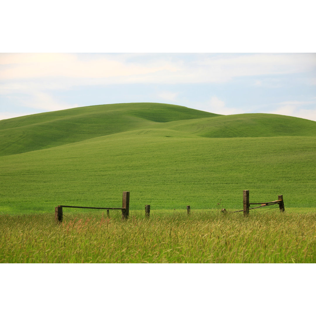 Green Rolling Hills im Bundesstaat Washington