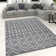 Crumbley Southwestern Cotton Hand Woven Area Rug