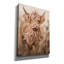 «Highland Cow» par Ashley Bradley, art mural-1524262316