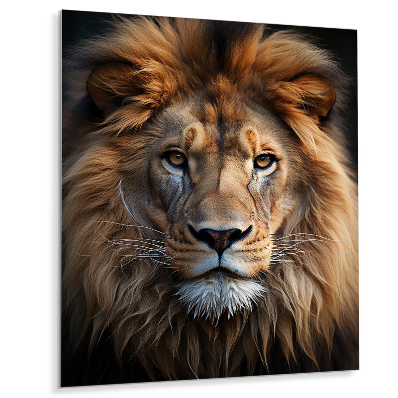 «Animal Lion Portrait I», reproductions d'art mural en métal, H 40 po x l 30 po x P 1 po