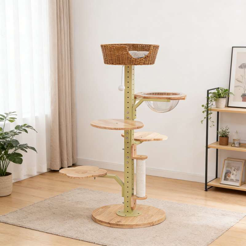 Structure d'escalade simple et tendance