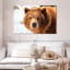 Regard d'ours grizzly-107703635