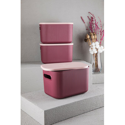 Ensemble de boîte de rangement