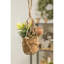 Succulent artificiel 2" en pot