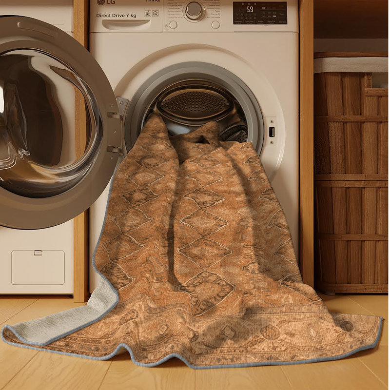 Machine Washable Persian Brown Area Rug, Square 4'