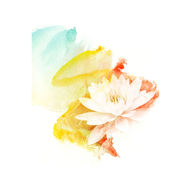 Flower Illustration by NK08gerd - Wrapped Canvas Print, 46cm H x 30cm W x 3.8cm D