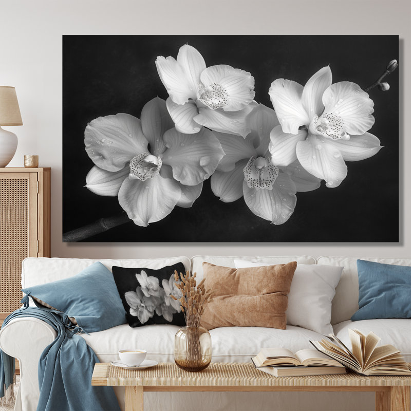 Art botanique noir et orchidées photo II - Orchidées murales, Toile tendue, 40" H x 60" W