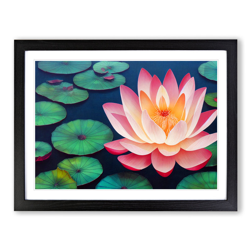 An Appealing Lotus Flower - Single Picture Frame Print, 25cm H x 34cm W x 2cm D, Black