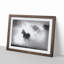 Horses in Abstract - Picture Frame Painting Print-55763843-55763848