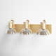 Luke 3 Light Transparent Dimmable Vanity Light