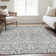 Premium Machine Washable Prisco Gray Rug