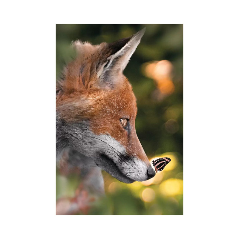 The Fox And Cute Butterfly by Zenja Gammer - Print on Canvas, Wrapped Canvas, 30.48 cm H x 45.72 cm W