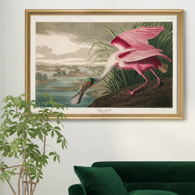 " Roseate Spoonbill "