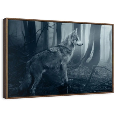 Grey Wolf