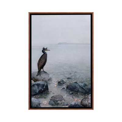 " The Shallows " by Maggie Vandewalle