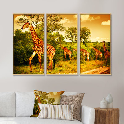 South African Giraffes - Ensemble de 3 reproductions d'art encadrées sur toile