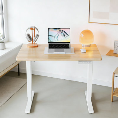 Electric Standing Desk, Height Adjustable With 4 Memory Settings, Sit Stand Up Desk For Home Office Computer Workstation