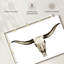Crâne Kerner Longhorn-107688158