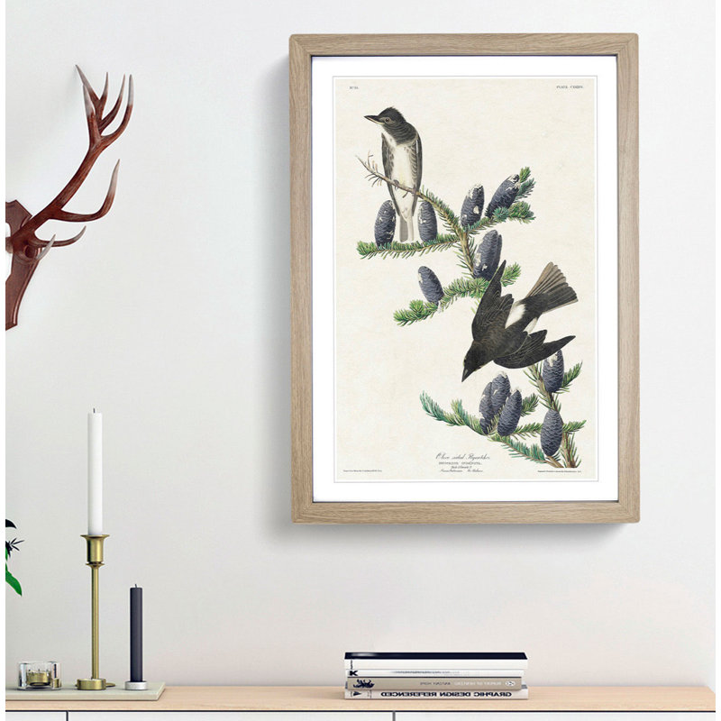 Olive-Sided Fly Catcher Bird by John Audubon - Picture Frame Painting Print, 65cm H x 48cm W x 2cm D, Oak Framed
