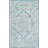 Oriental Indoor / Outdoor Rug-738844721