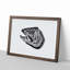 Fish Head Illustration in Black & White - Framed Print-55620697-55620700