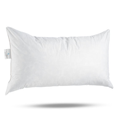 Taie décorative ComfyDown 95% plume et 5% duvet d'oie décorative