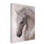 « free rites blanc cheval », reproduction de peinture à l’acrylique sur toile tendue-33538527
