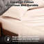 Taie d'oreiller en mélange de coton égyptien 400 fils Luxor Treasures-175140157-237004047