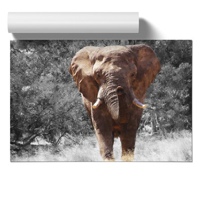 Elephant Painting - Frameless Print