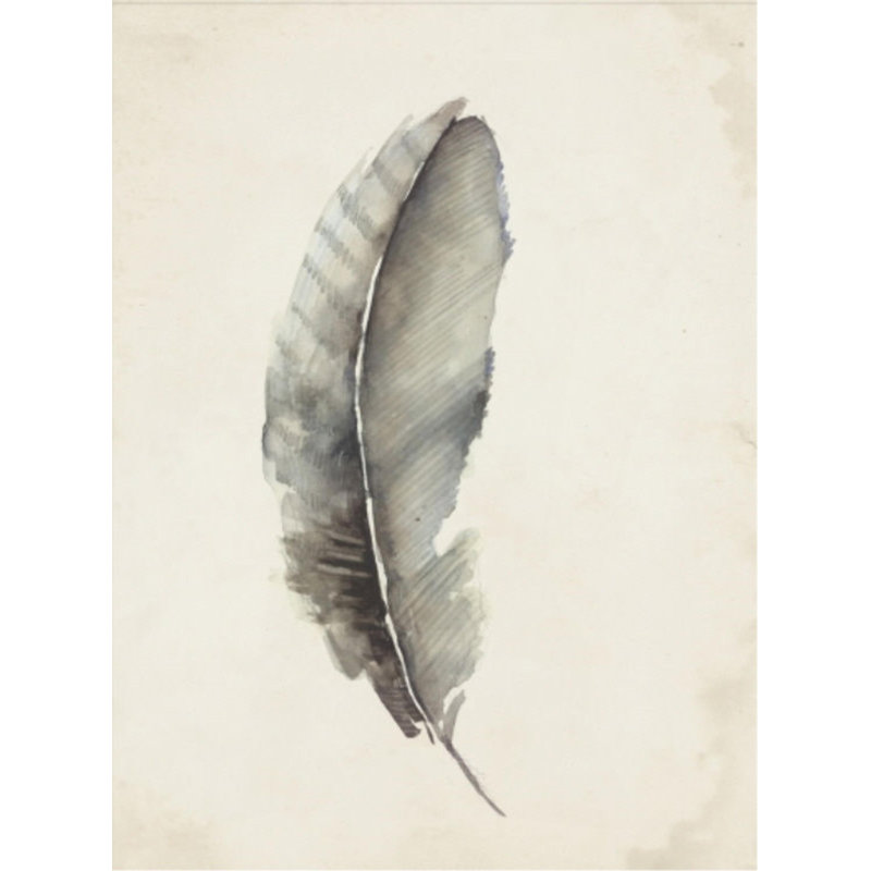 Charcoal Feathers III Print by Beverly Fuller, Matte, 41" H x 30" W