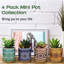 Caludia Ceramic Pot Planter