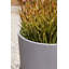 Pot à fleurs Pure Series-57370073-69930339-57370070