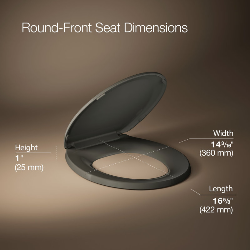 Lustra with Quick-Release Hinges Toilet Seat, Thunder Gray, Round