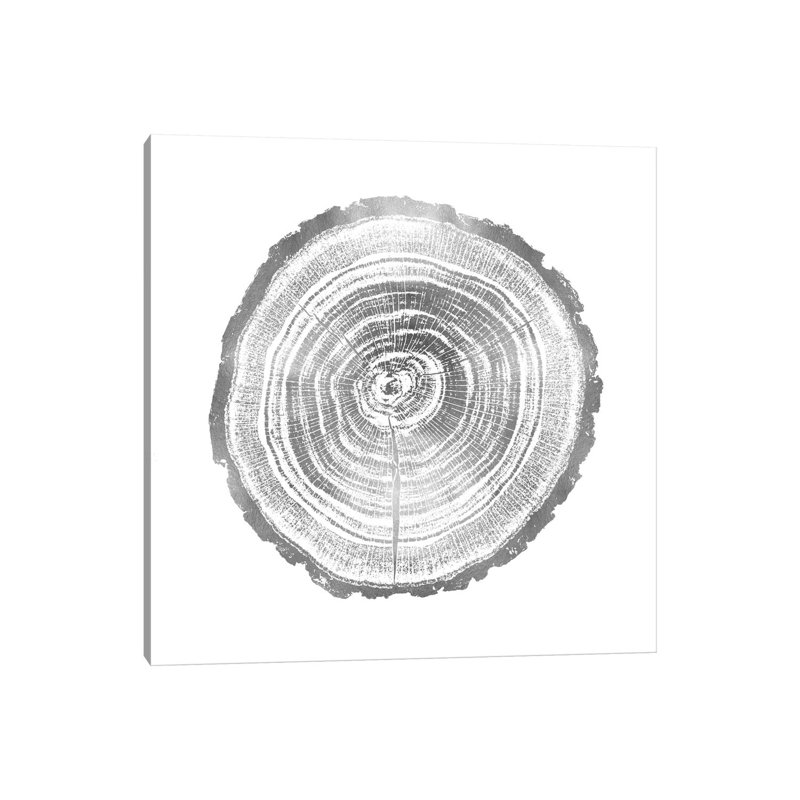 Timber Silver II by Danielle Carson - Wrapped Canvas Painting, 45.72 cm H x 45.72 cm W x 1.91 cm D