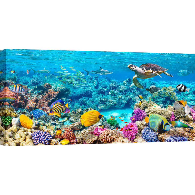 Sea Turtle And Fish, Maldivian Coral Reef - Wrapped Canvas Print, 35cm H x 70cm W